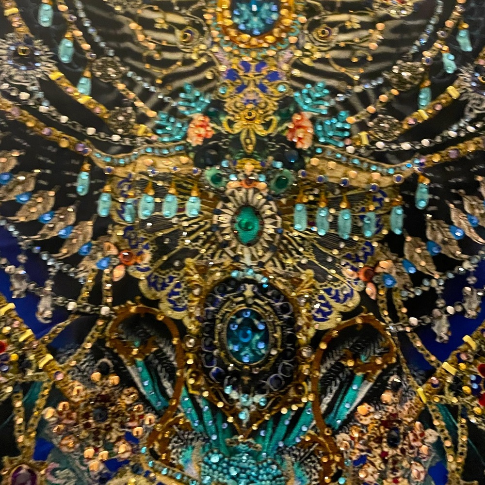 I have this beautiful dress by Camilla bran new with tags